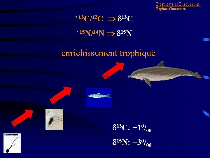 Résultats et Discussion: Régime alimentaire • 13 C/12 C d 13 C • 15