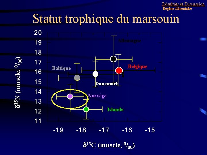 Résultats et Discussion Régime alimentaire Statut trophique du marsouin d 15 N (muscle, 0/00)