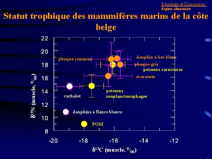 Résultats et Discussion: Régime alimentaire Statut trophique des mammifères marins de la côte belge