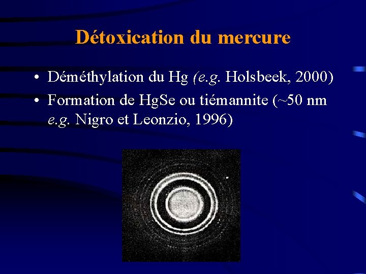 Détoxication du mercure • Déméthylation du Hg (e. g. Holsbeek, 2000) • Formation de