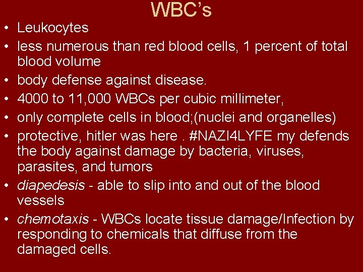 WBC’s • Leukocytes • less numerous than red blood cells, 1 percent of total