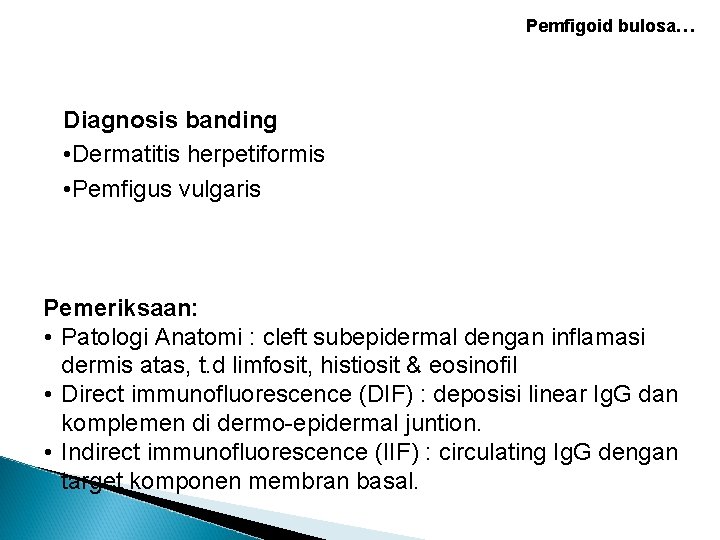 Pemfigoid bulosa… Diagnosis banding • Dermatitis herpetiformis • Pemfigus vulgaris Pemeriksaan: • Patologi Anatomi Pemfigoid bulosa… Diagnosis banding • Dermatitis herpetiformis • Pemfigus vulgaris Pemeriksaan: • Patologi Anatomi