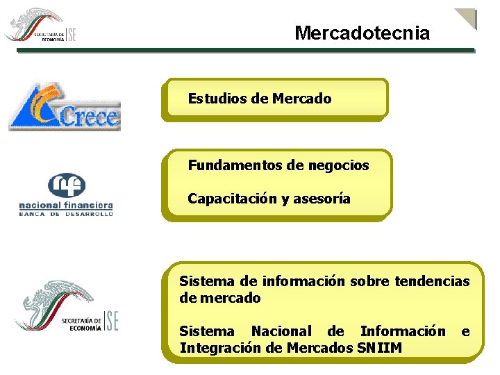 Mercadotecnia Estudios de Mercado Fundamentos de negocios Capacitación y asesoría Sistema de información sobre