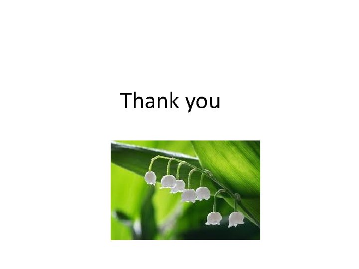 Thank you Thank you