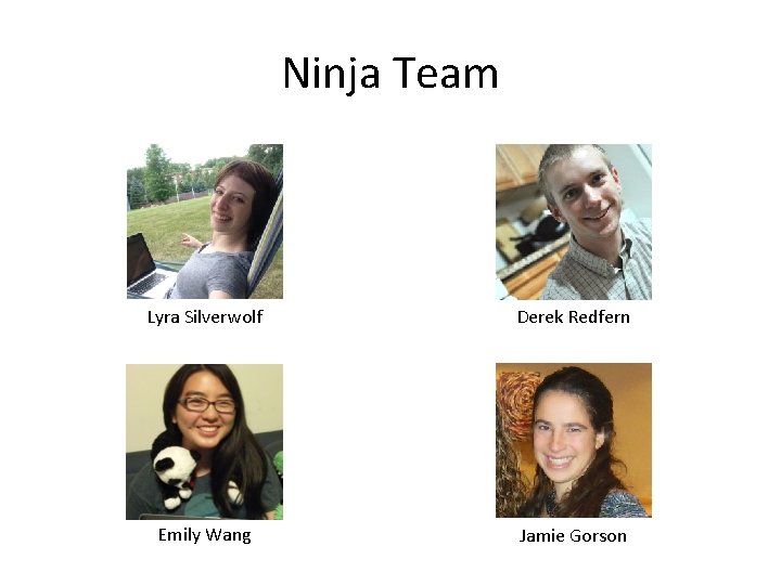 Ninja Team Lyra Silverwolf Derek Redfern Emily Wang Jamie Gorson 