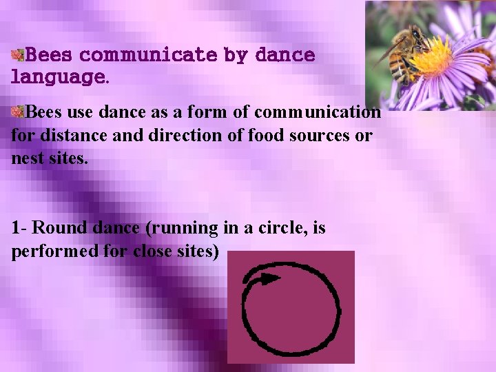 Bees communicate by dance language. Bees use dance as a form of communication for