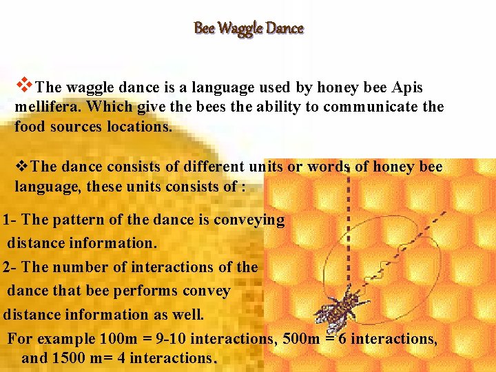 Bee Waggle Dance v. The waggle dance is a language used by honey bee