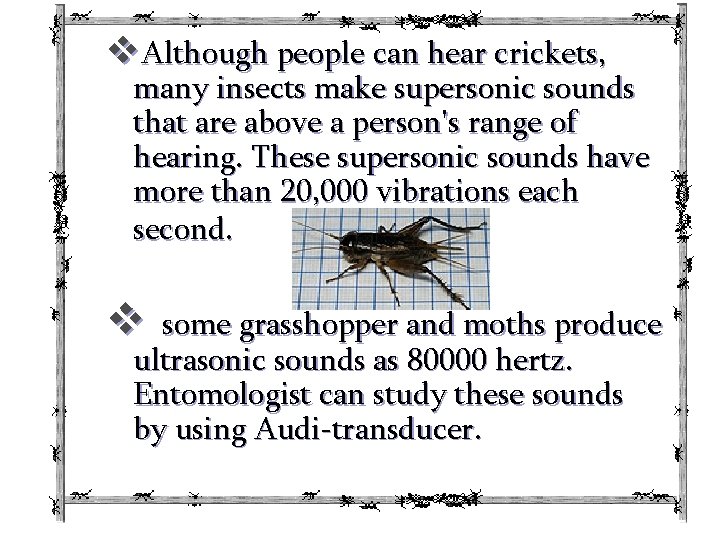 v. Although people can hear crickets, many insects make supersonic sounds that are above