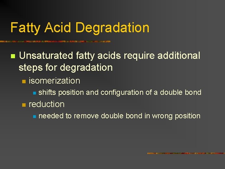 Fatty Acid Degradation n Unsaturated fatty acids require additional steps for degradation n isomerization