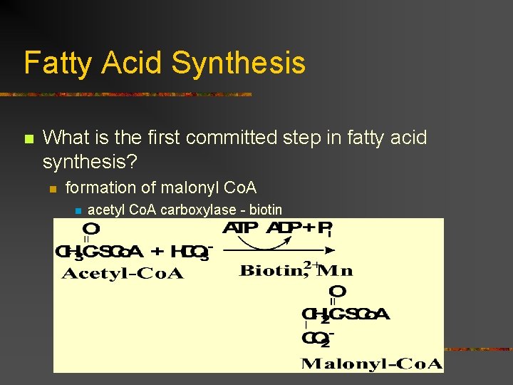 Fatty Acid Synthesis n What is the first committed step in fatty acid synthesis?