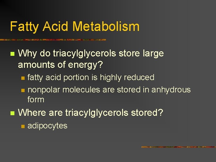 Fatty Acid Metabolism n Why do triacylglycerols store large amounts of energy? n n