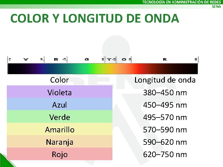 COLOR Y LONGITUD DE ONDA Color Violeta Azul Verde Amarillo Naranja Rojo Longitud de
