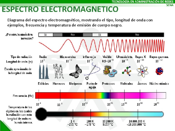 ESPECTRO ELECTROMAGNETICO Diagrama del espectro electromagnético, mostrando el tipo, longitud de onda con ejemplos,