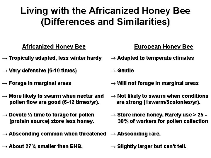 Living with the Africanized Honey Bee (Differences and Similarities) Africanized Honey Bee European Honey