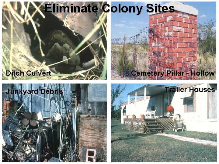 Eliminate Colony Sites Ditch Culvert Junkyard Debris Cemetery Pillar - Hollow Trailer Houses 