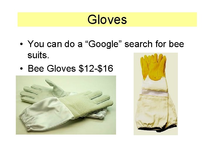 Gloves • You can do a “Google” search for bee suits. • Bee Gloves