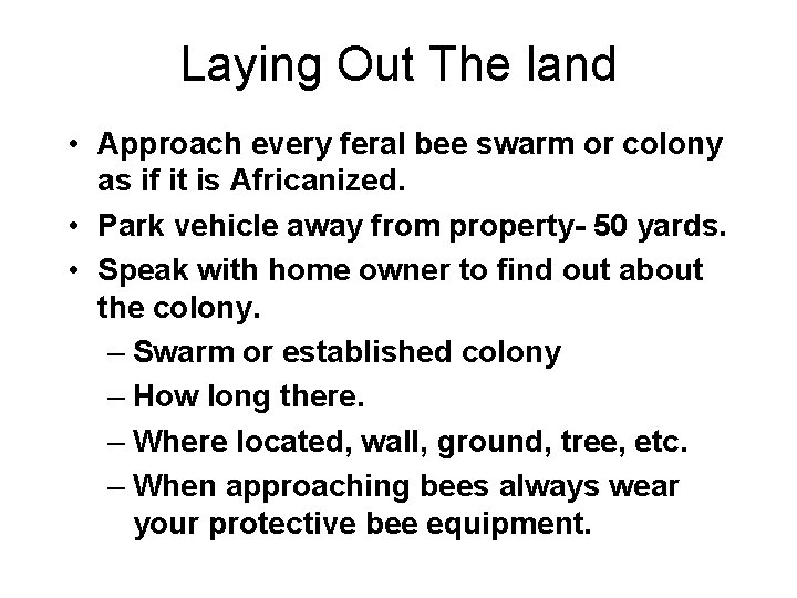 Laying Out The land • Approach every feral bee swarm or colony as if