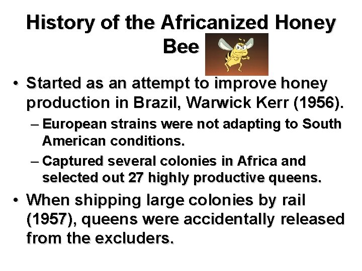 History of the Africanized Honey Bee • Started as an attempt to improve honey