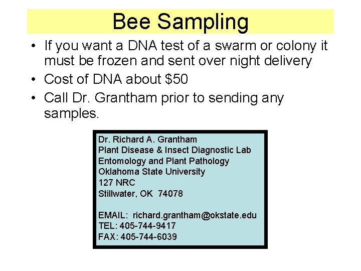 Bee Sampling • If you want a DNA test of a swarm or colony