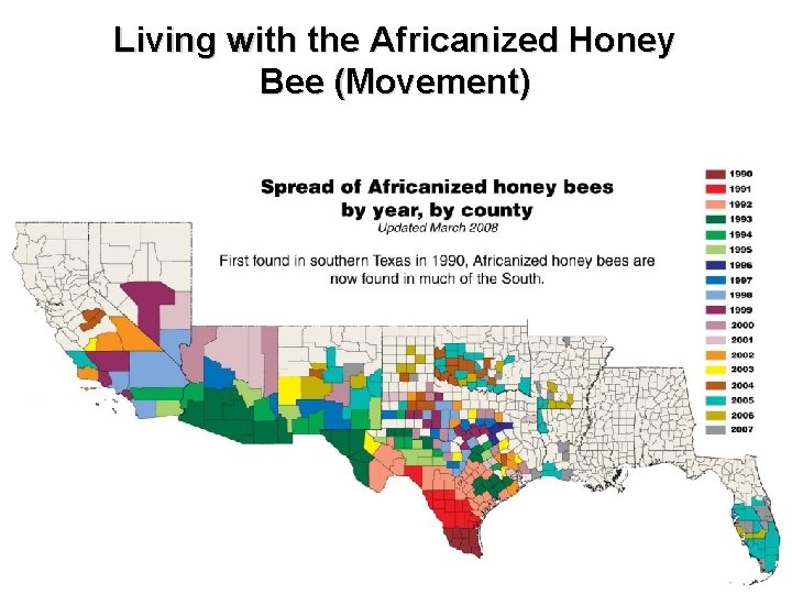 Living with the Africanized Honey Bee (Movement) 