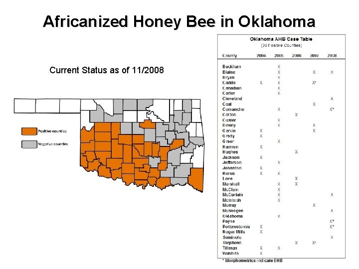 Africanized Honey Bee in Oklahoma Current Status as of 11/2008 