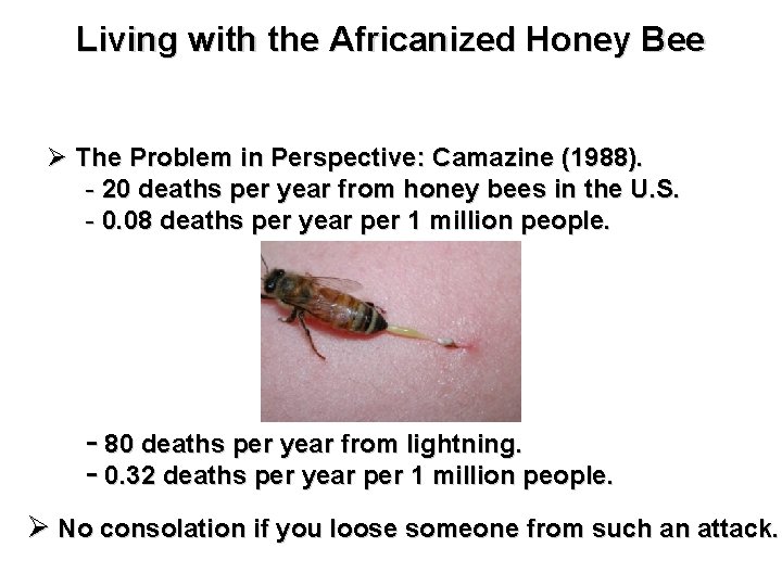 Living with the Africanized Honey Bee Ø The Problem in Perspective: Camazine (1988). -