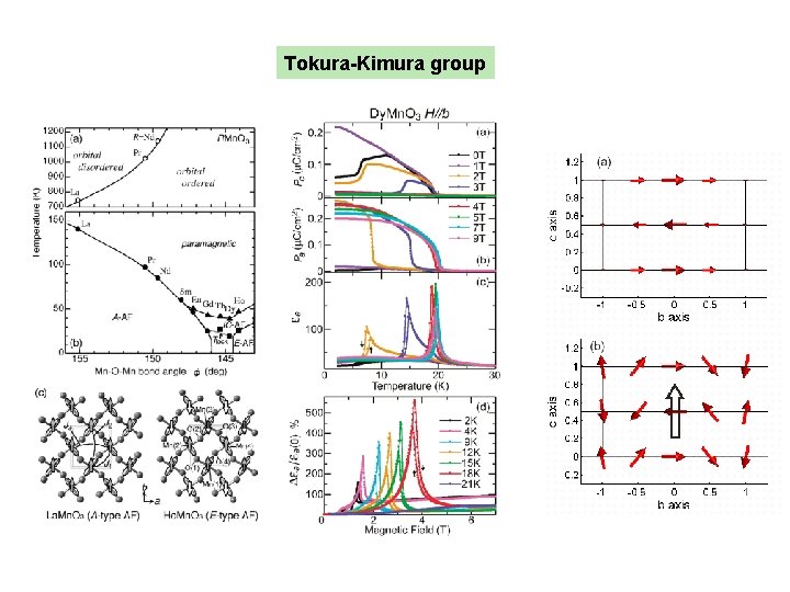 Tokura-Kimura group 