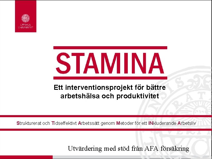 Ett interventionsprojekt för bättre arbetshälsa och produktivitet Strukturerat och Tidseffektivt Arbetssätt genom Metoder för