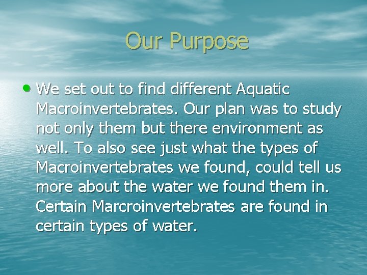 Our Purpose • We set out to find different Aquatic Macroinvertebrates. Our plan was