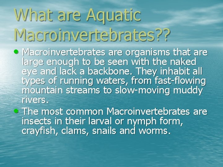What are Aquatic Macroinvertebrates? ? • Macroinvertebrates are organisms that are large enough to