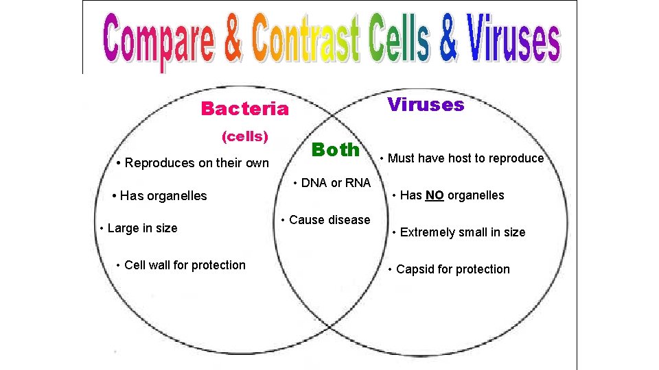 Viruses Bacteria (cells) • Reproduces on their own • Has organelles • Large in