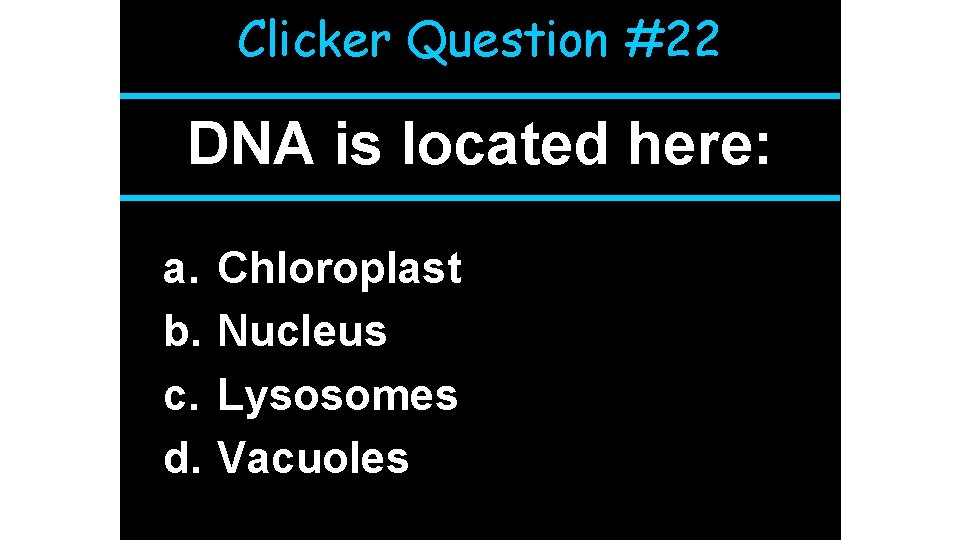 Clicker Question #22 DNA is located here: a. b. c. d. Chloroplast Nucleus Lysosomes