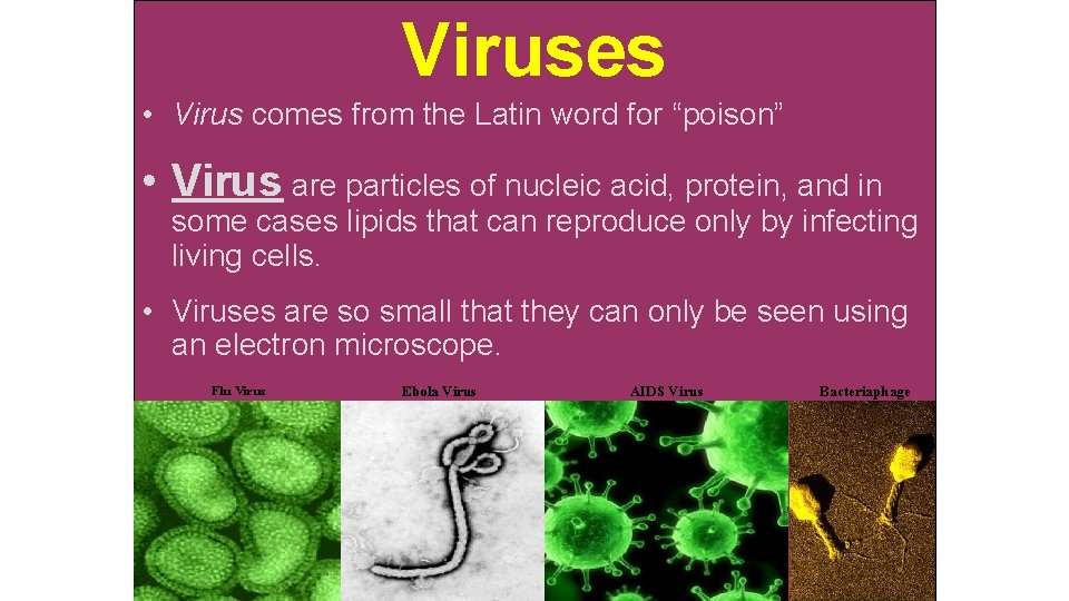 Viruses • Virus comes from the Latin word for “poison” • Virus are particles