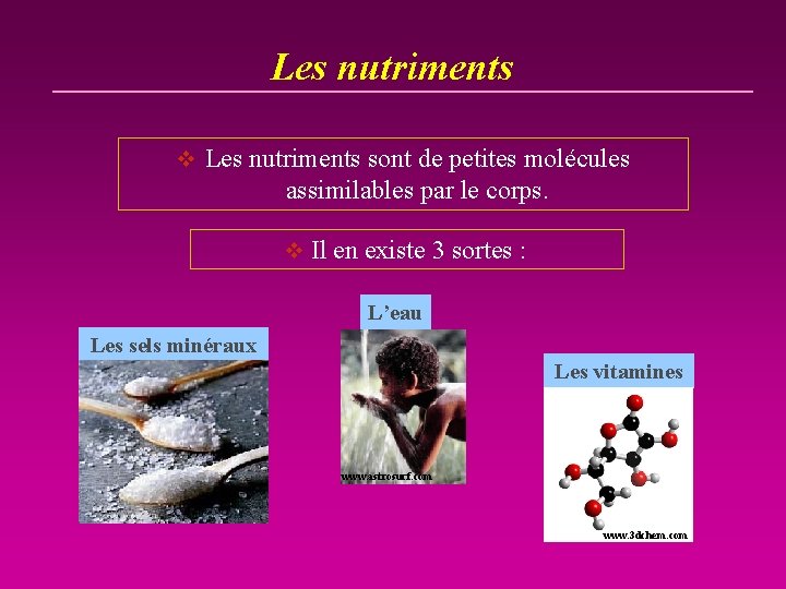 Les nutriments v Les nutriments sont de petites molécules assimilables par le corps. v