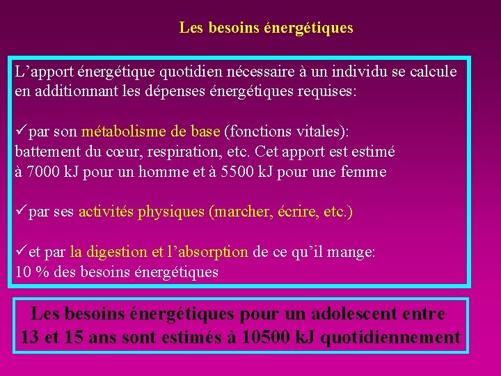 Les besoins énergétiques L’apport énergétique quotidien nécessaire à un individu se calcule en additionnant