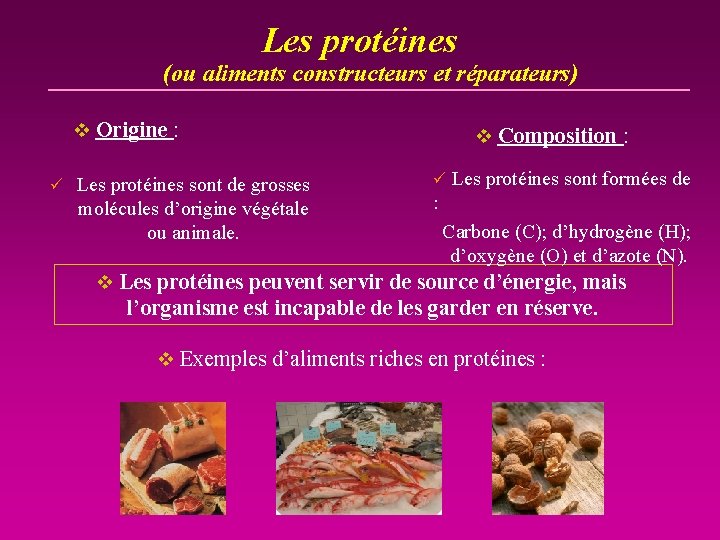 Les protéines (ou aliments constructeurs et réparateurs) v Origine : ü Les protéines sont