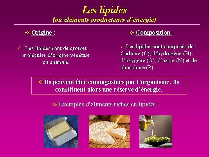 Les lipides (ou éléments producteurs d’énergie) v Origine : ü Les lipides sont de