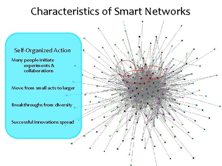 Characteristics of Smart Networks Self-Organized Action Many people initiate experiments & collaborations Move from