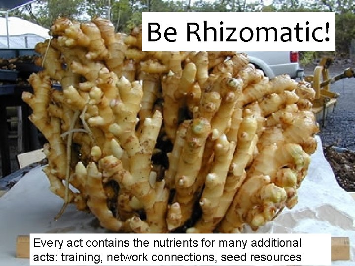 Be Rhizomatic! Every act contains the nutrients for many additional acts: training, network connections,