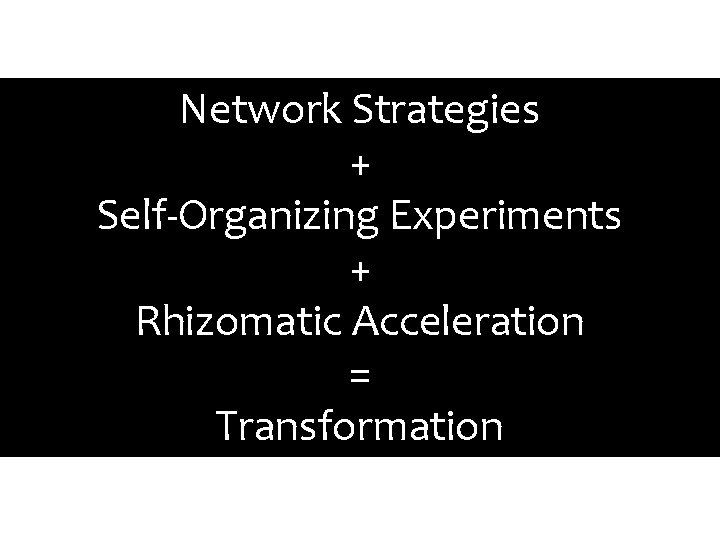 Network Strategies + Self-Organizing Experiments + Rhizomatic Acceleration = Transformation 