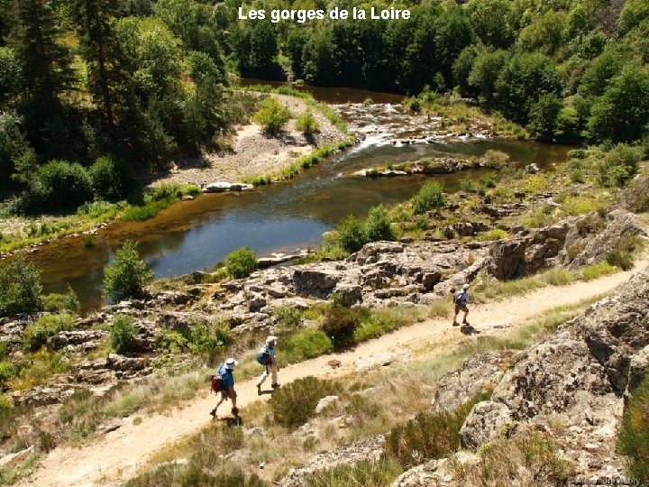 Les gorges de la Loire 