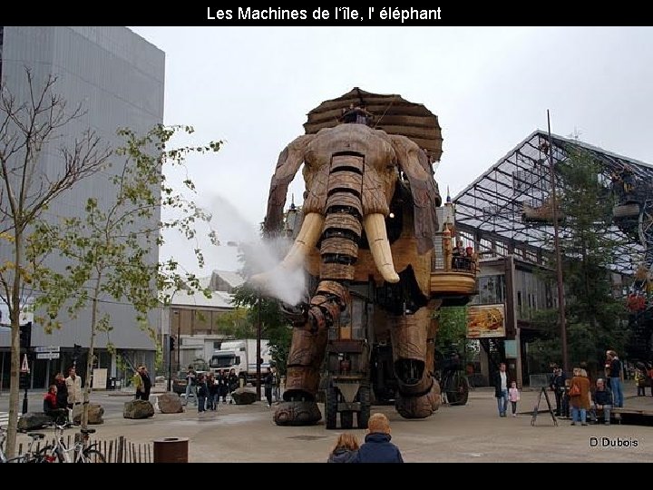 Les Machines de l‘île, l' éléphant 