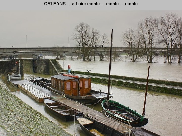 ORLEANS : La Loire monte. . monte 