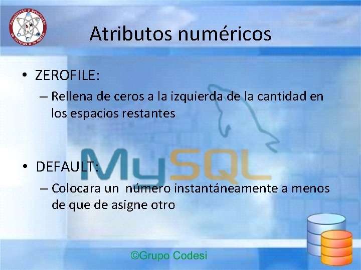 Atributos numéricos • ZEROFILE: – Rellena de ceros a la izquierda de la cantidad