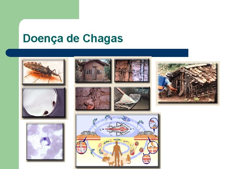 Doença de Chagas 