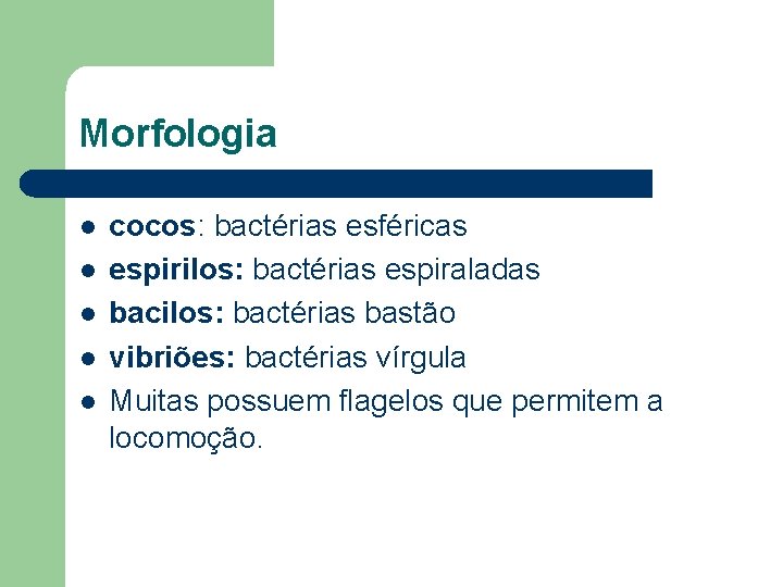 Morfologia l l l cocos: bactérias esféricas espirilos: bactérias espiraladas bacilos: bactérias bastão vibriões: