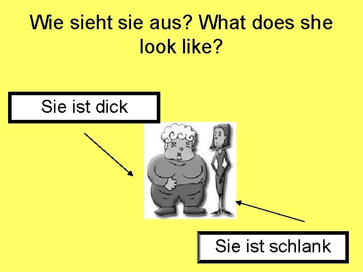 Wie sieht sie aus? What does she look like? Sie ist dick Sie ist