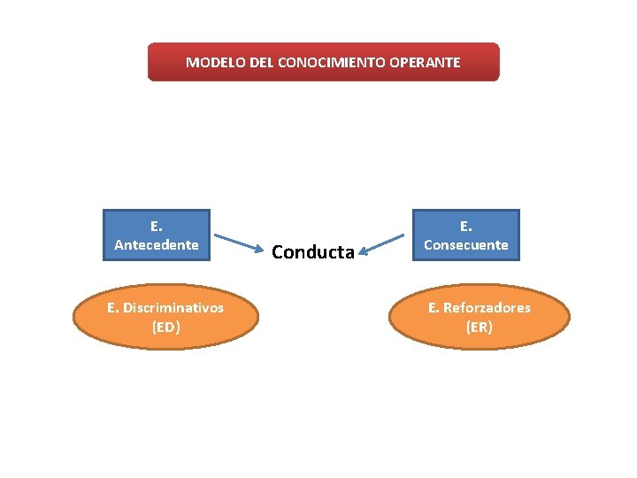 MODELO DEL CONOCIMIENTO OPERANTE E. Antecedente E. Discriminativos (ED) Conducta E. Consecuente E. Reforzadores