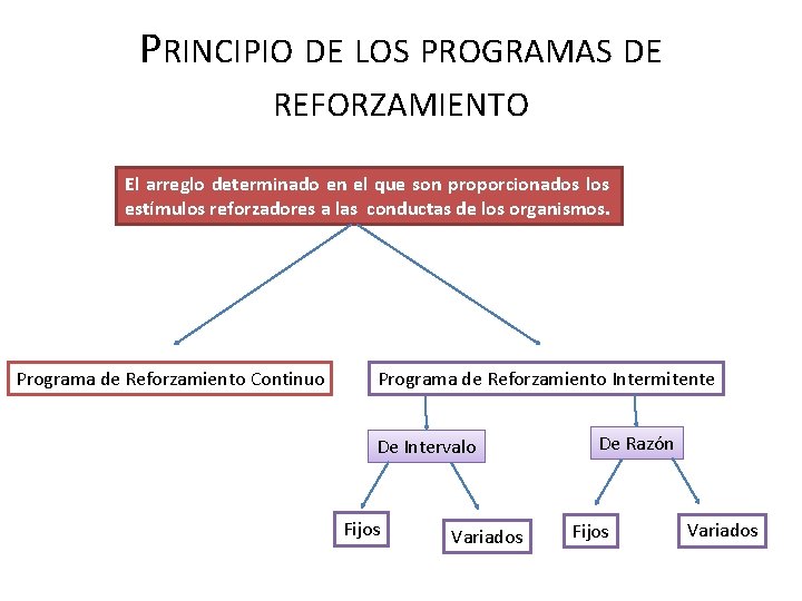 PRINCIPIO DE LOS PROGRAMAS DE REFORZAMIENTO El arreglo determinado en el que son proporcionados