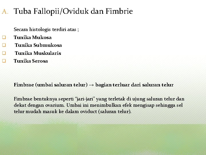 A. Tuba Fallopii/Oviduk dan Fimbrie Secara histologis terdiri atas ; q Tunika Mukosa q